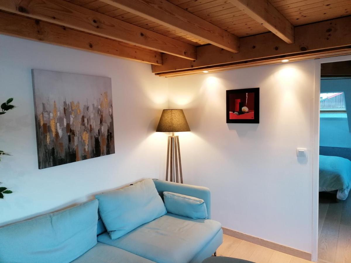 Ferienwohnung Le Panorama Voiron Exterior foto